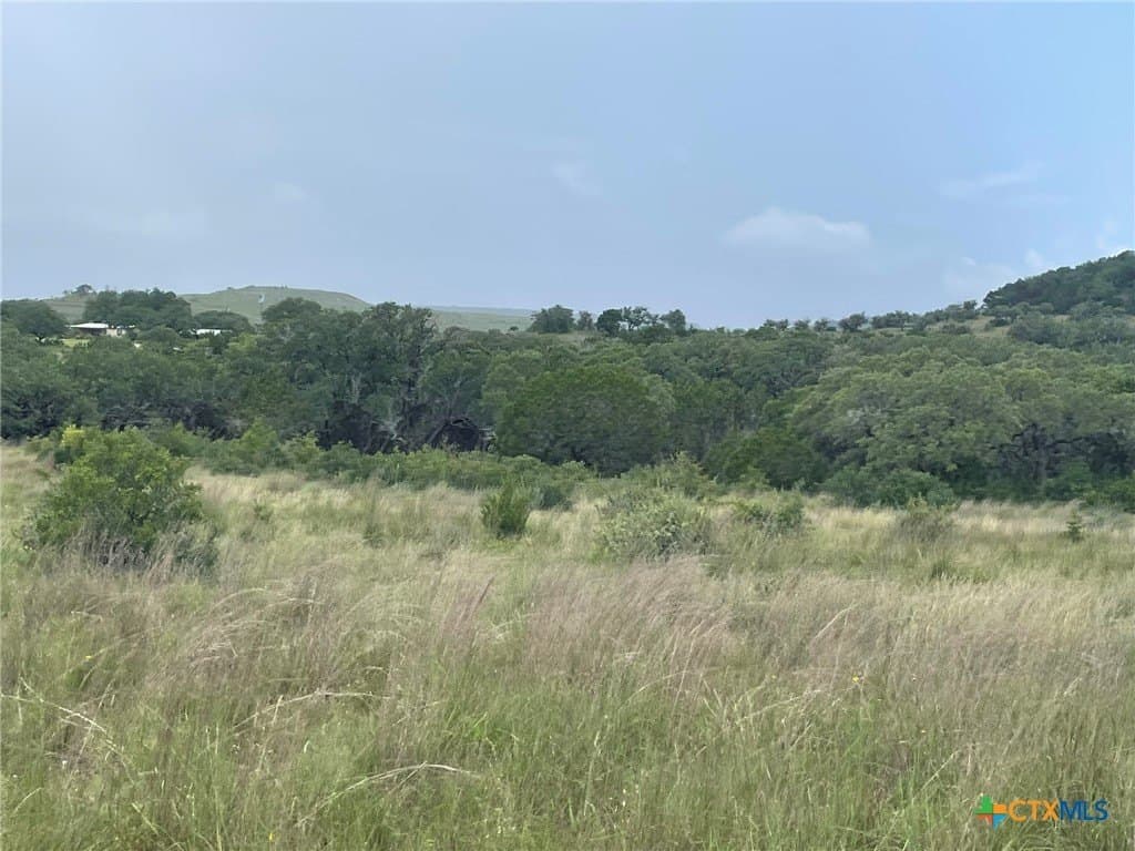 201.36 acres in Burnet County - photo 14