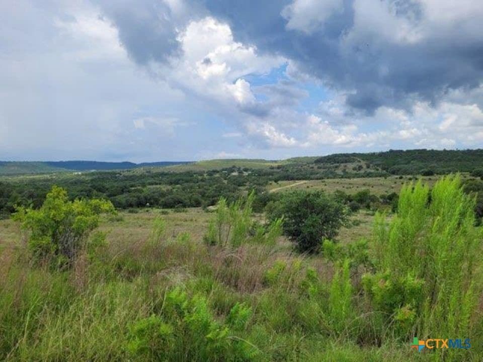 201.36 acres in Burnet County gallery image 3