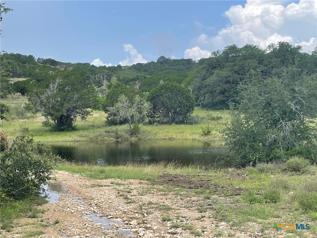201.36 acres in Burnet County - photo 12