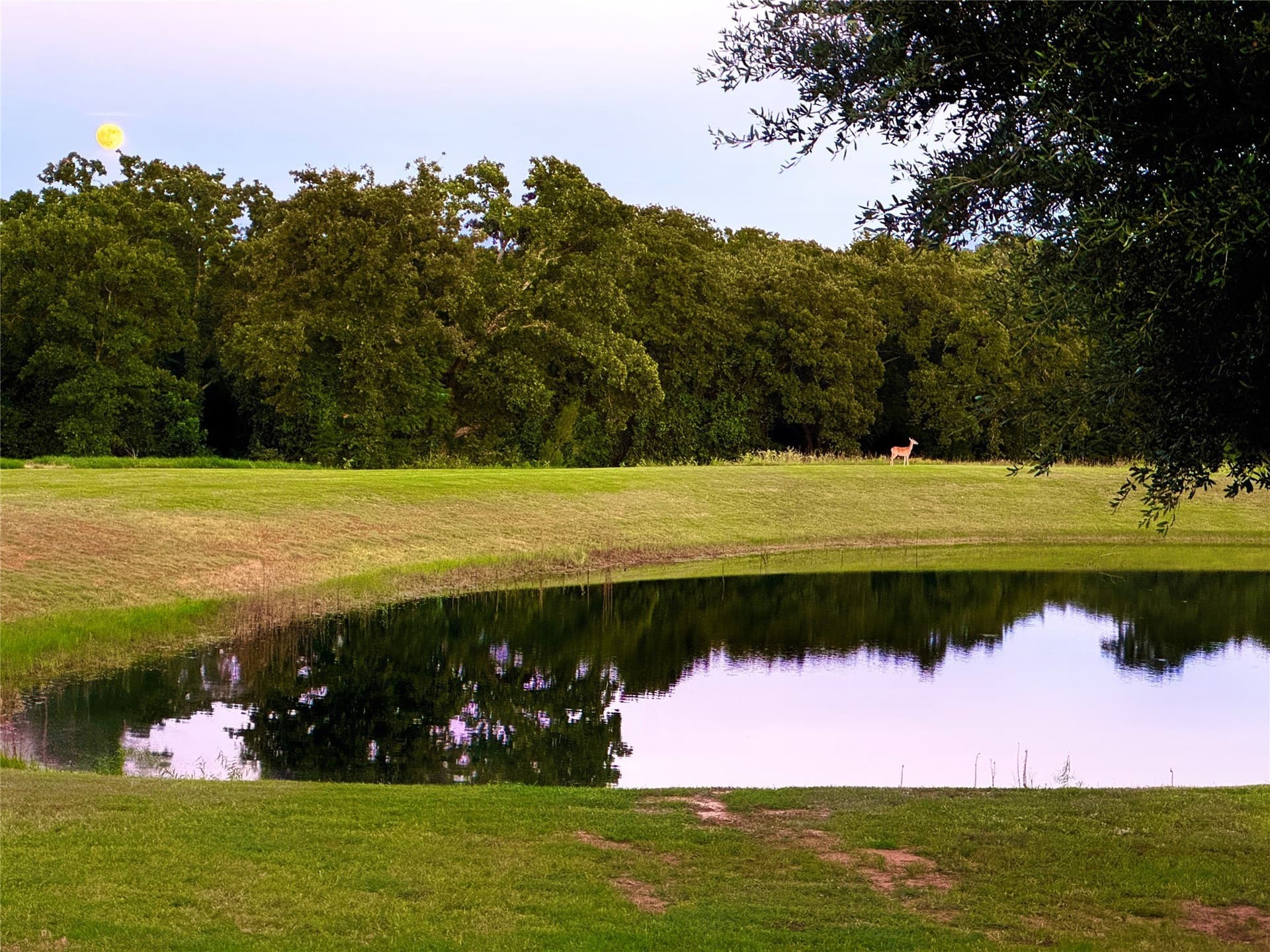91 acres in Hill County - photo 36