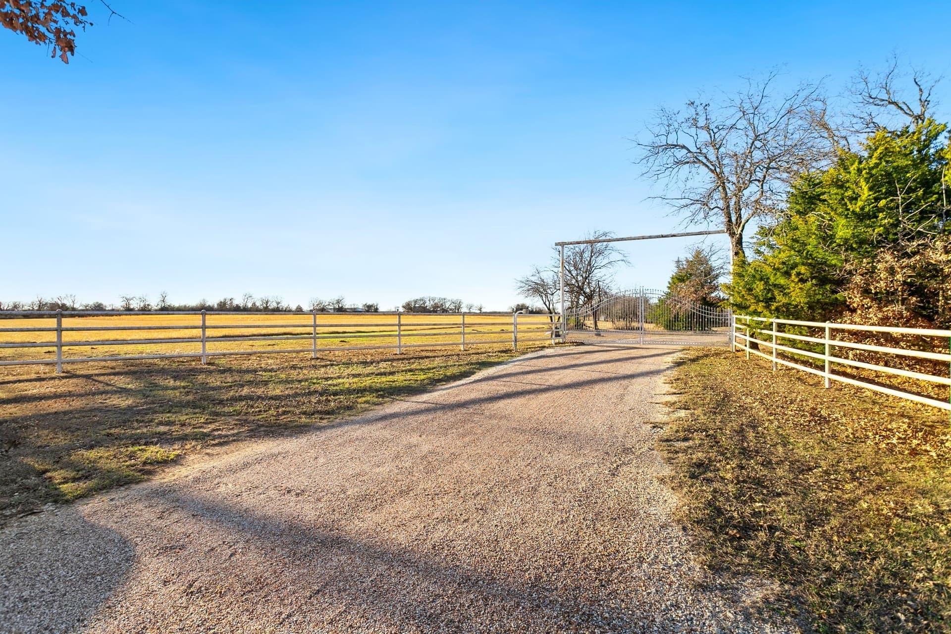 91 acres in Hill County gallery image 4