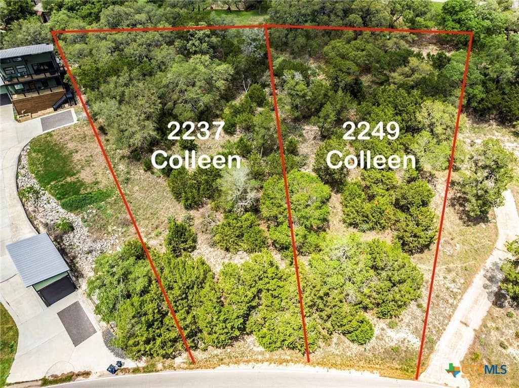 0.44 acres in Comal County gallery image 3