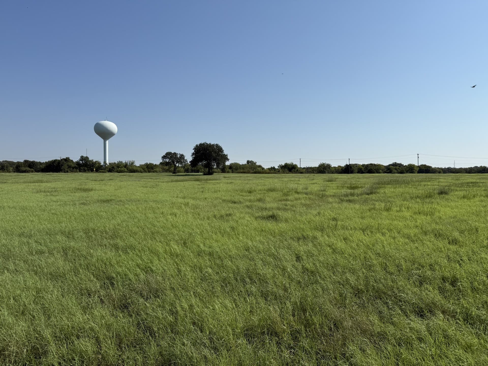 2.64 acres in Denton County - photo 10