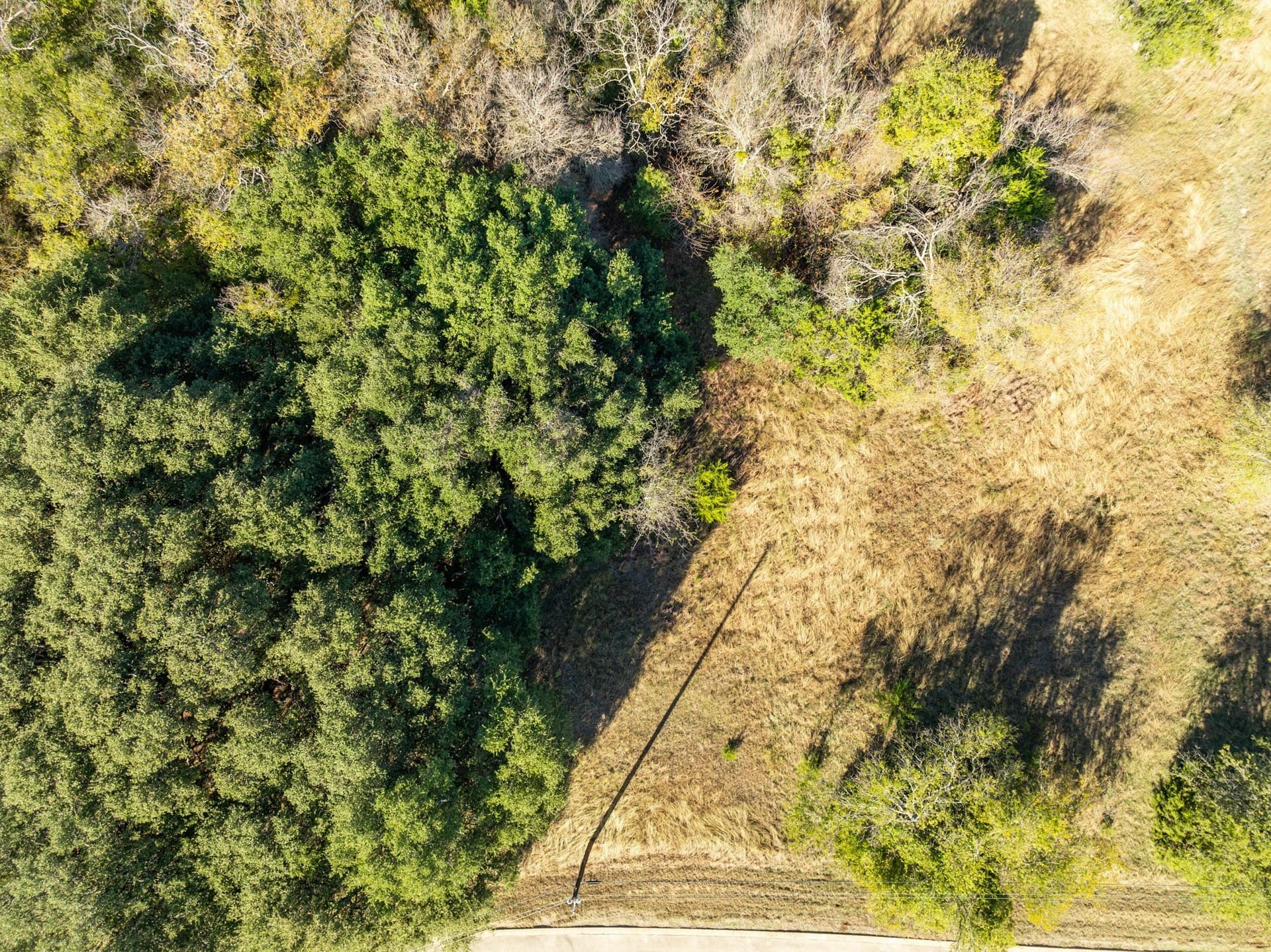 0.24 acres in Hill County - photo 7