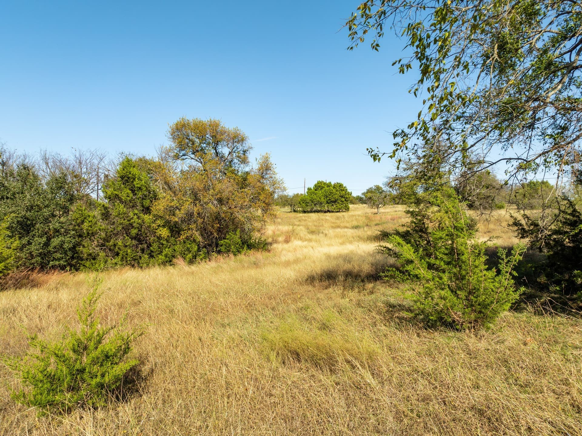 0.24 acres in Hill County - photo 6