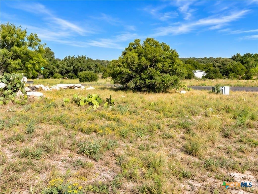 0.12 acres in Burnet County - photo 2