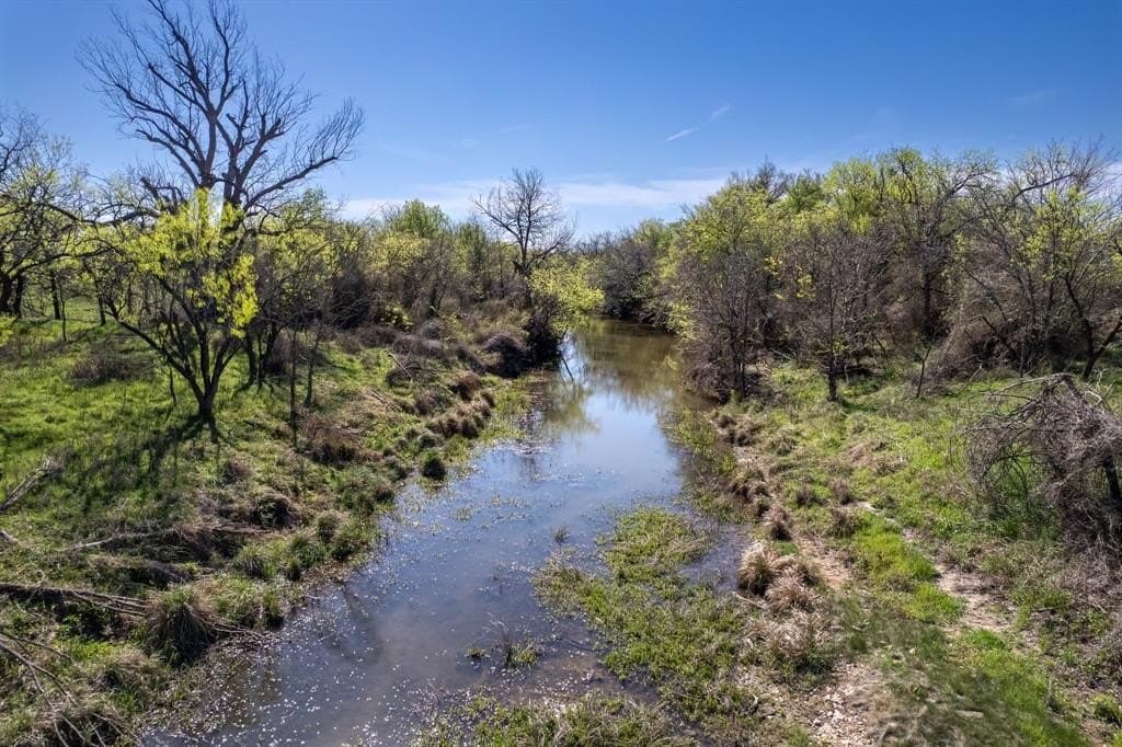 53.1 acres in Coleman County gallery image 2