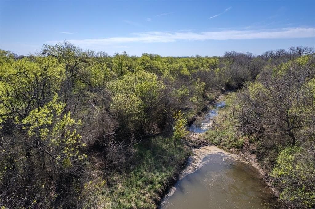 53.1 acres in Coleman County gallery image 3