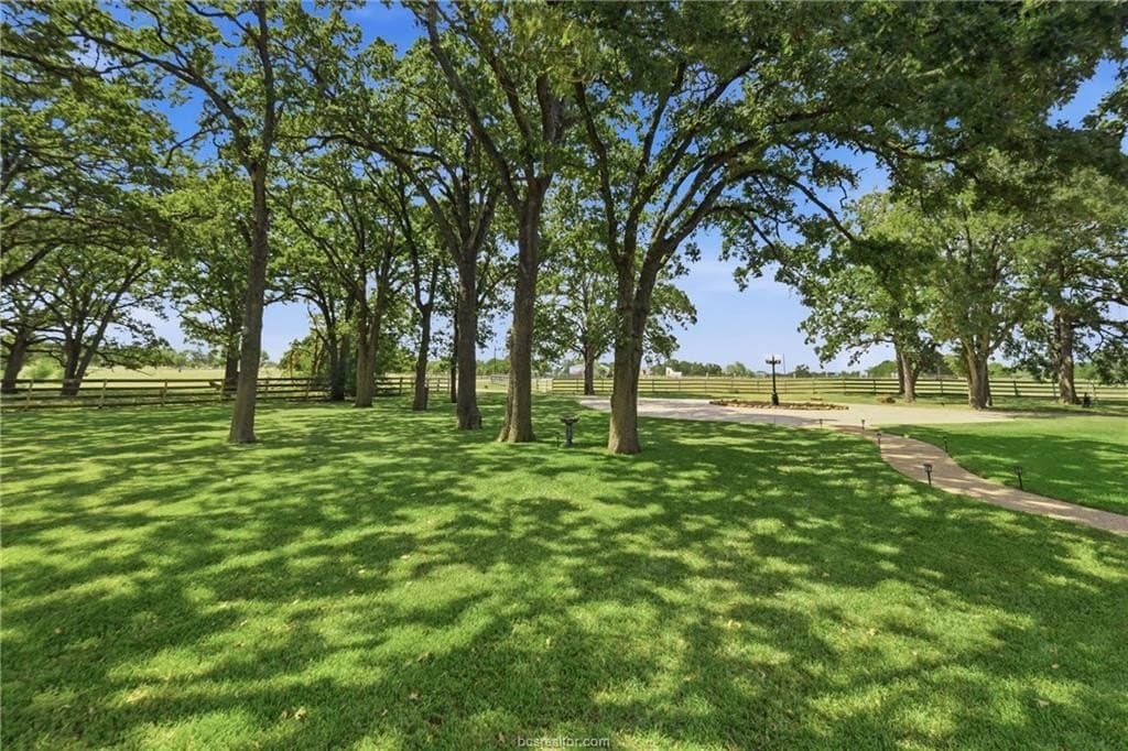 11.93 acres in Brazos County - photo 33