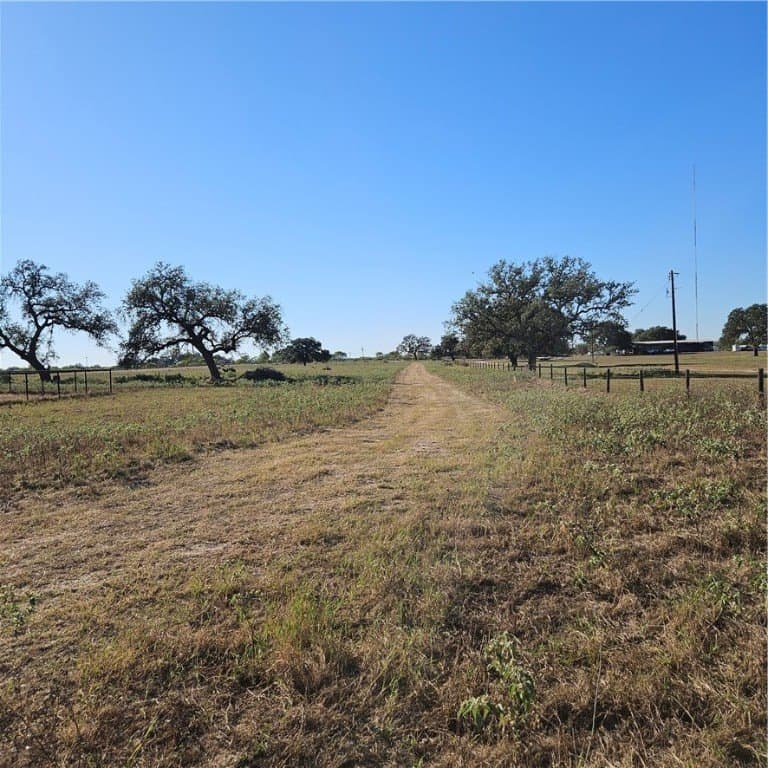 19.38 acres in Atascosa County gallery image 2