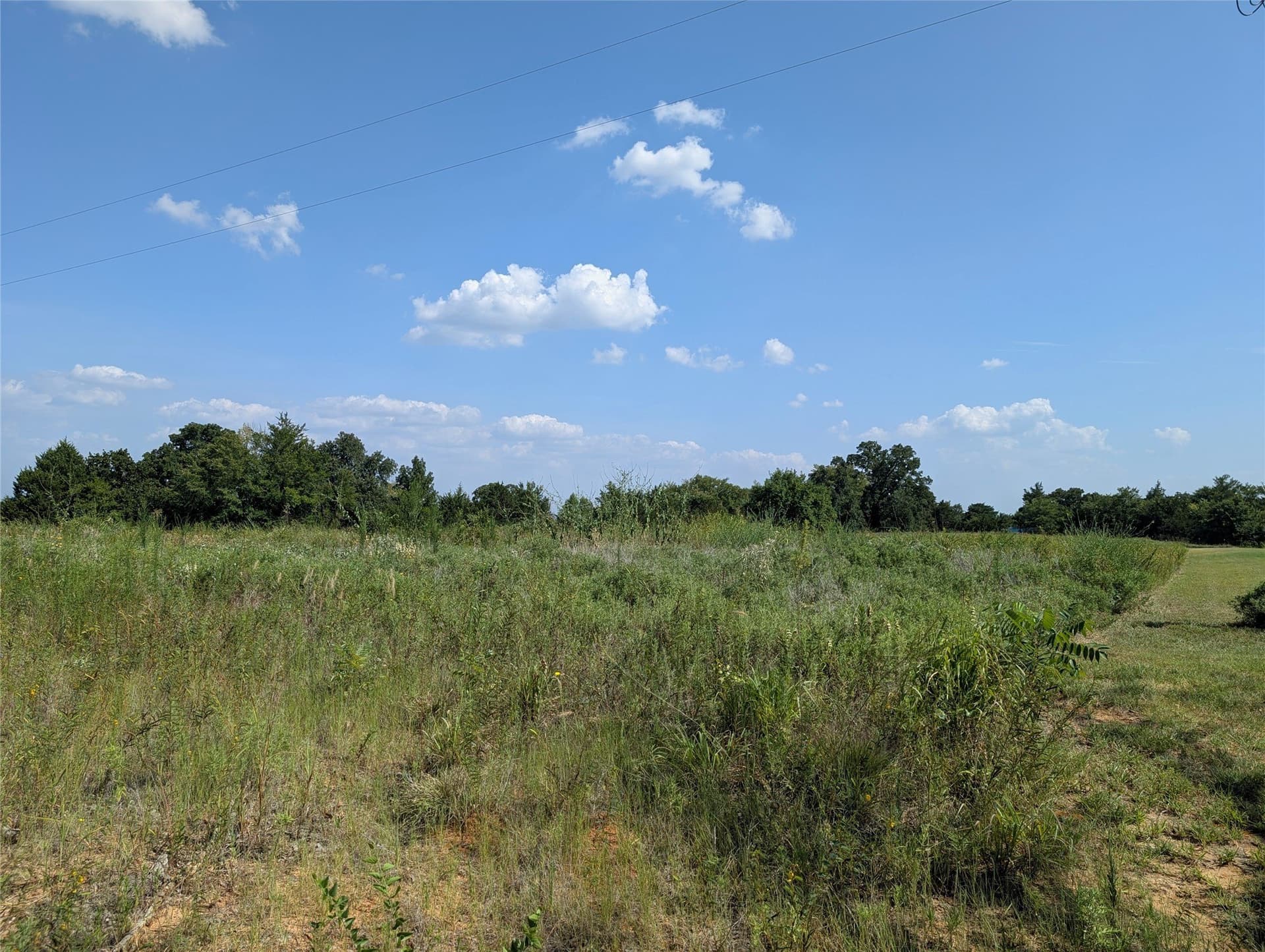 2.05 acres in Cooke County gallery image 2