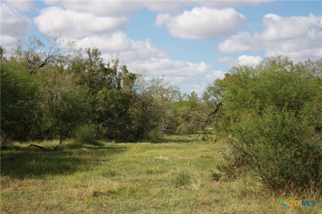 21 acres in San Patricio County - photo 8