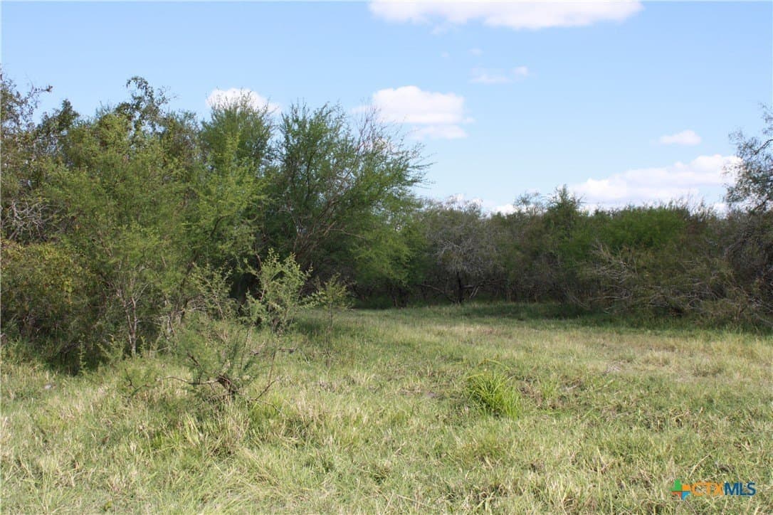 21 acres in San Patricio County - photo 6