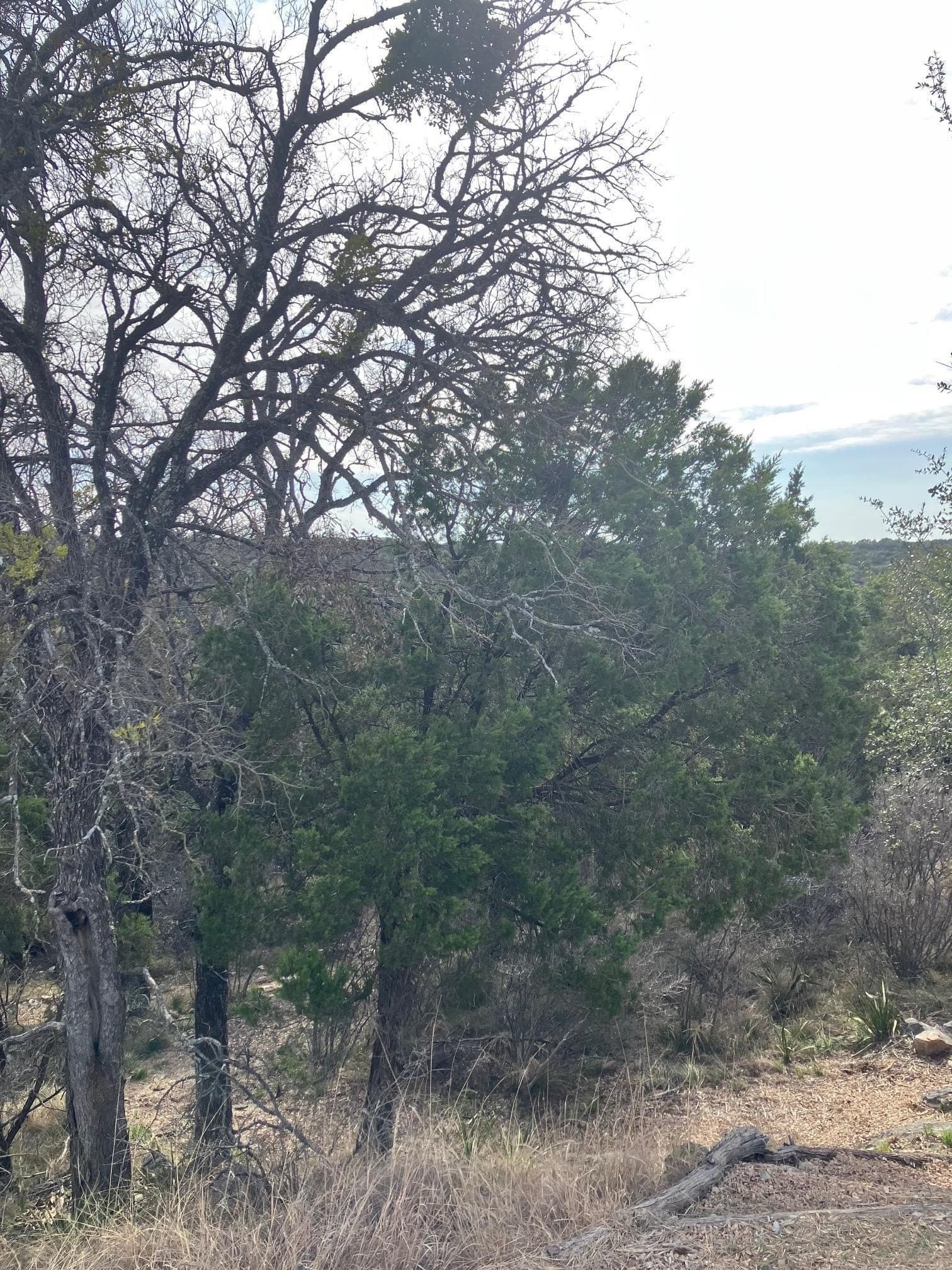 0.4 acres in Llano County gallery image 2