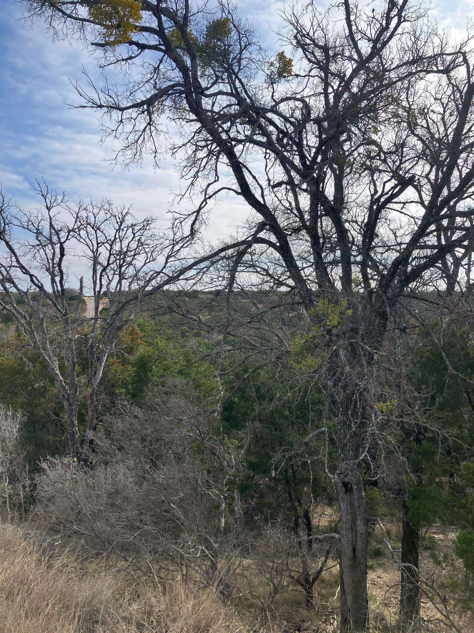 0.4 acres in Llano County
