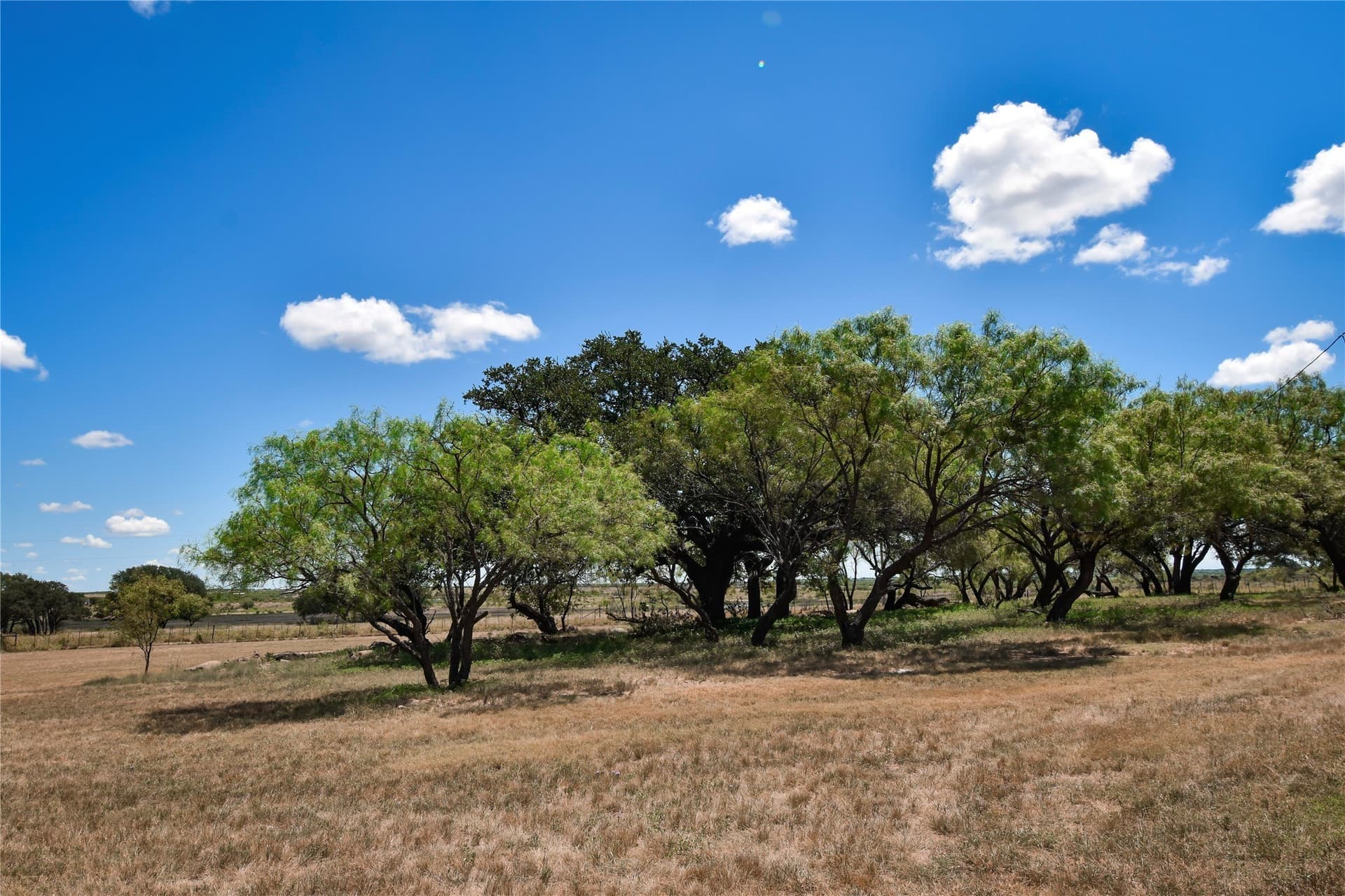 11.84 acres in McCulloch County - photo 21