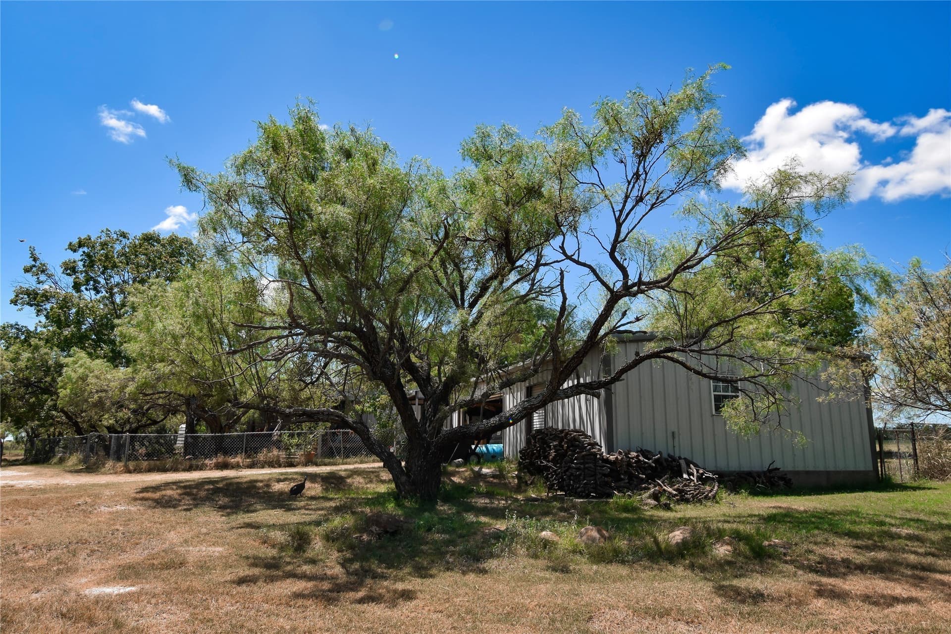11.84 acres in McCulloch County - photo 19