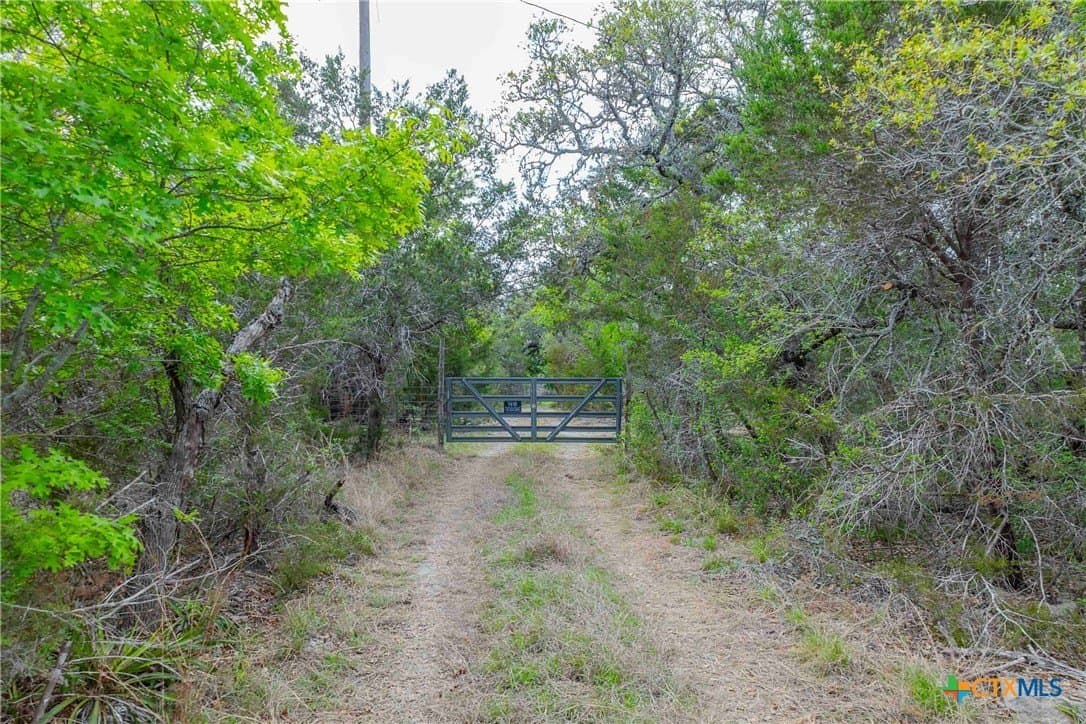 46.45 acres in Williamson County - photo 10