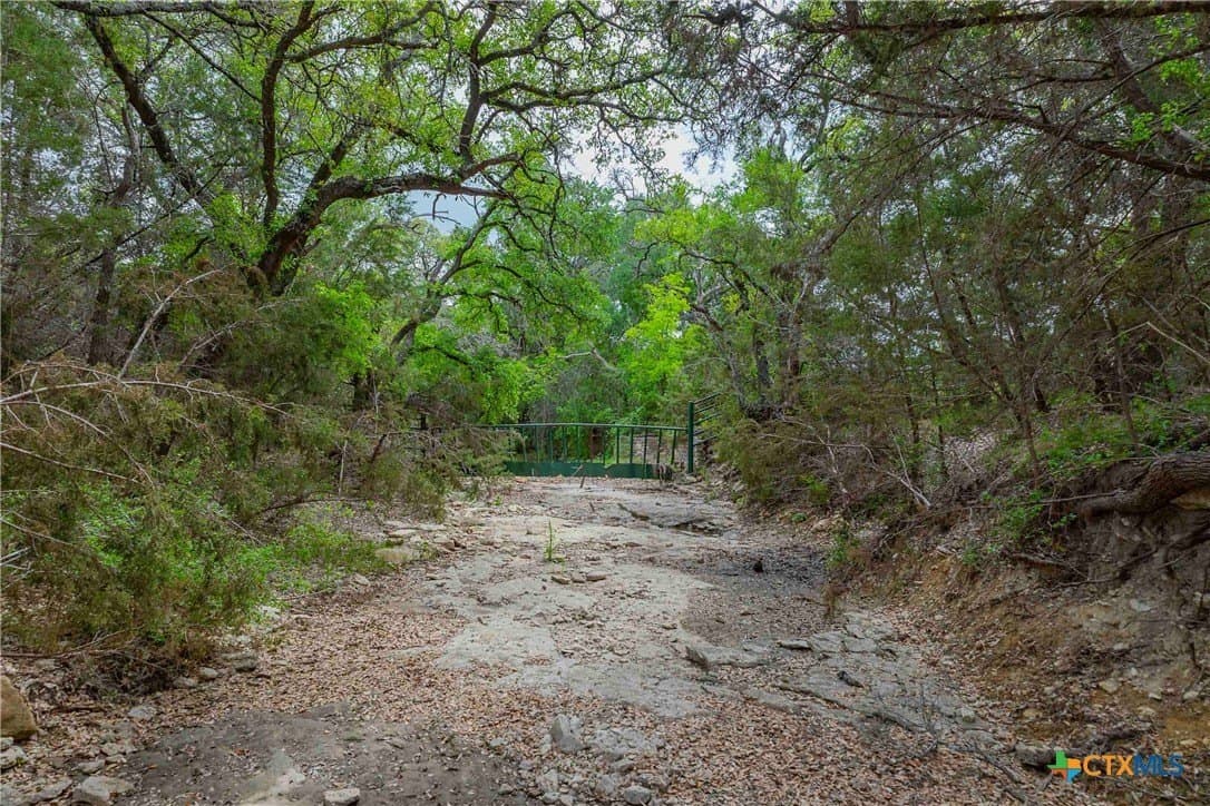 46.45 acres in Williamson County - photo 17