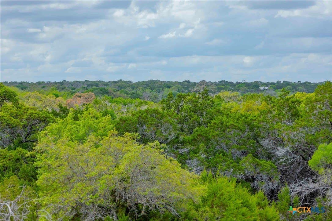 46.45 acres in Williamson County gallery image 2