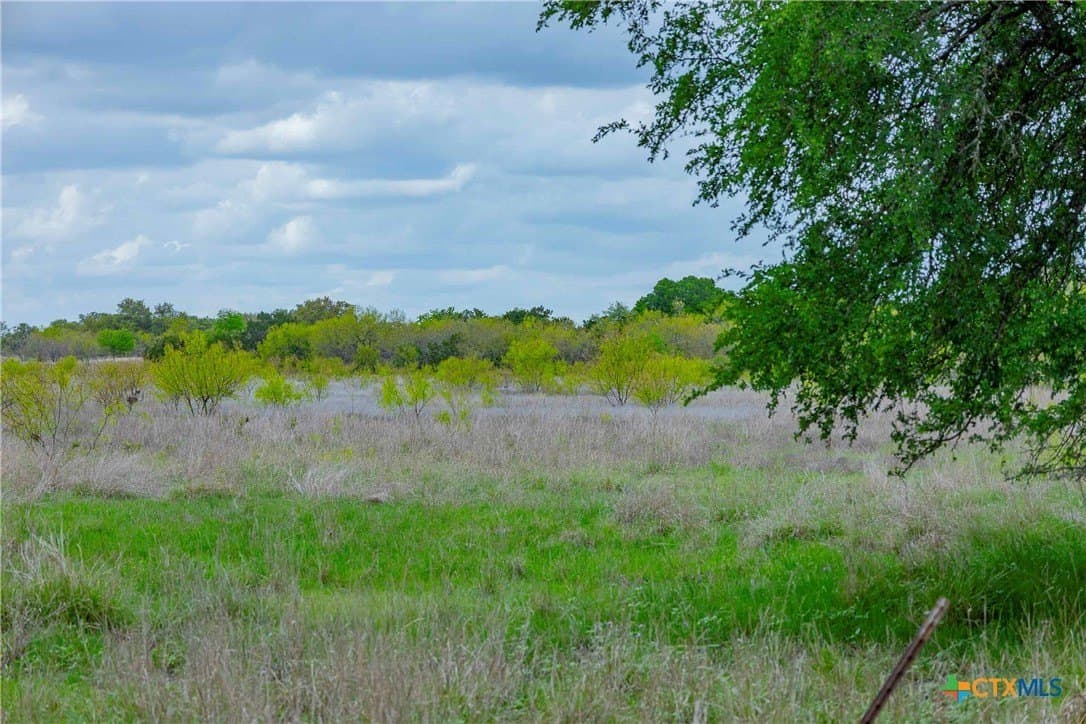46.45 acres in Williamson County - photo 34