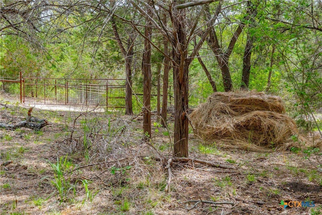 46.45 acres in Williamson County - photo 36