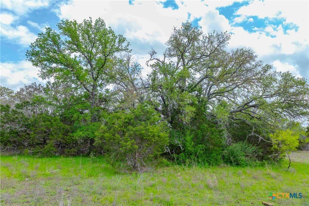 46.45 acres in Williamson County - photo 27