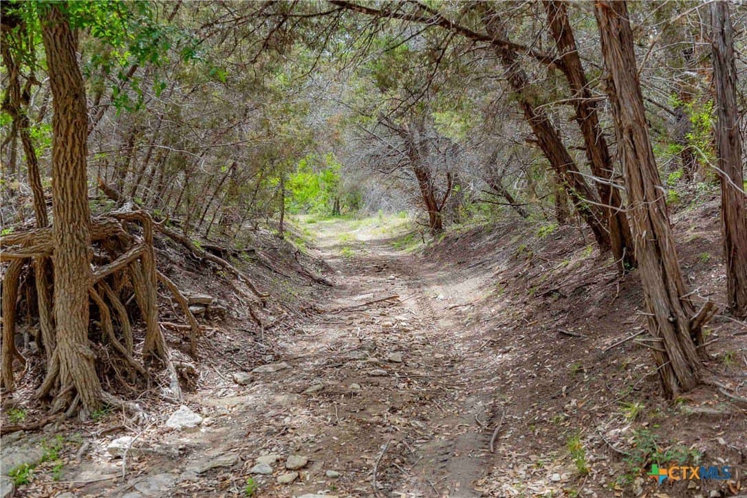 46.45 acres in Williamson County - photo 14