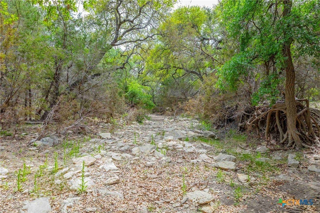 46.45 acres in Williamson County - photo 19