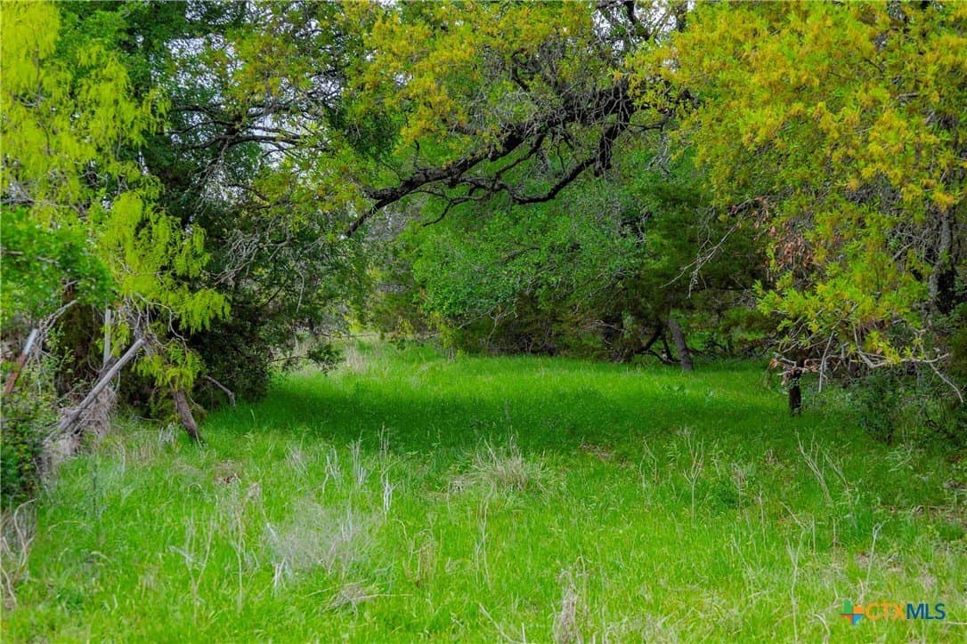 46.45 acres in Williamson County - photo 32