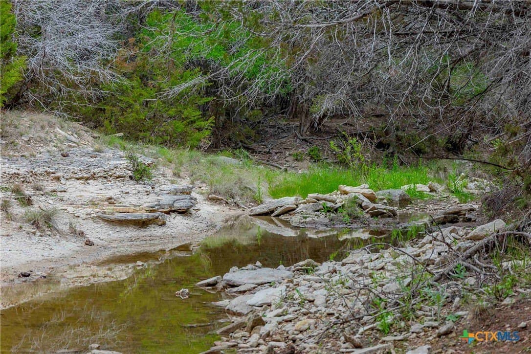 46.45 acres in Williamson County gallery image 4