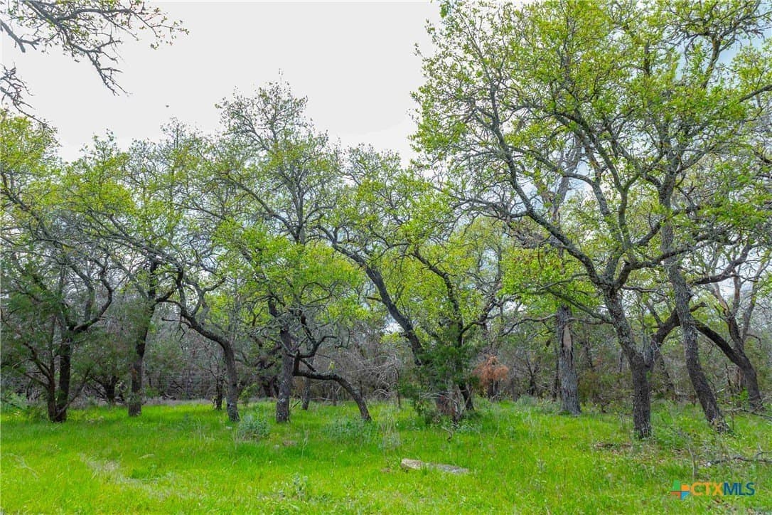 46.45 acres in Williamson County gallery image 3