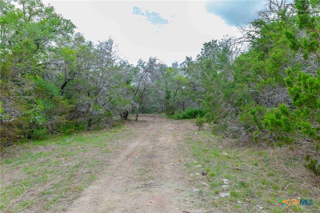 46.45 acres in Williamson County - photo 20