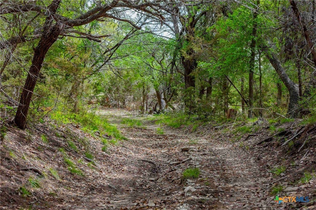 46.45 acres in Williamson County - photo 16