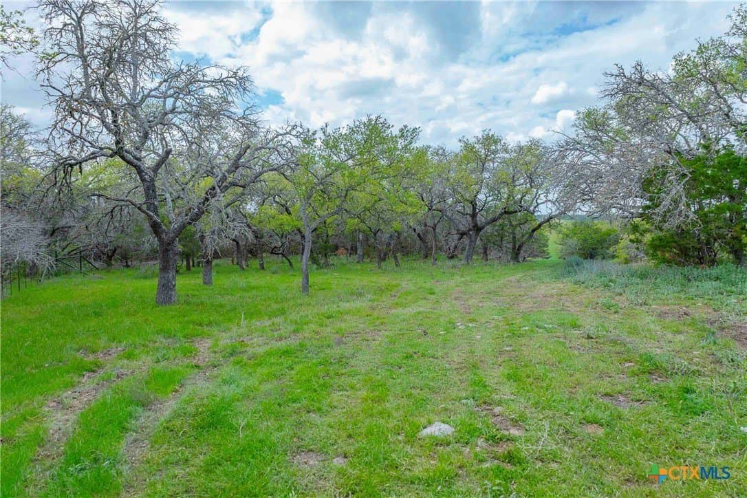46.45 acres in Williamson County - photo 13