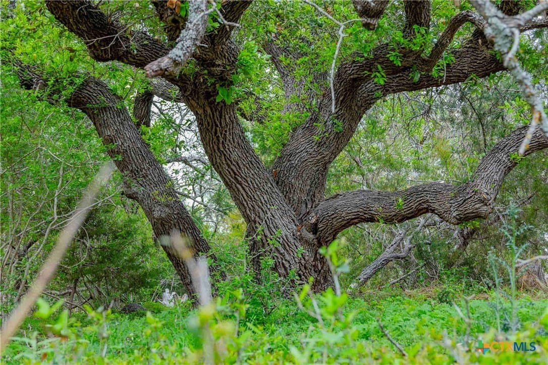 46.45 acres in Williamson County - photo 12