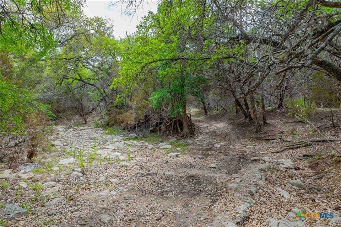 46.45 acres in Williamson County - photo 7