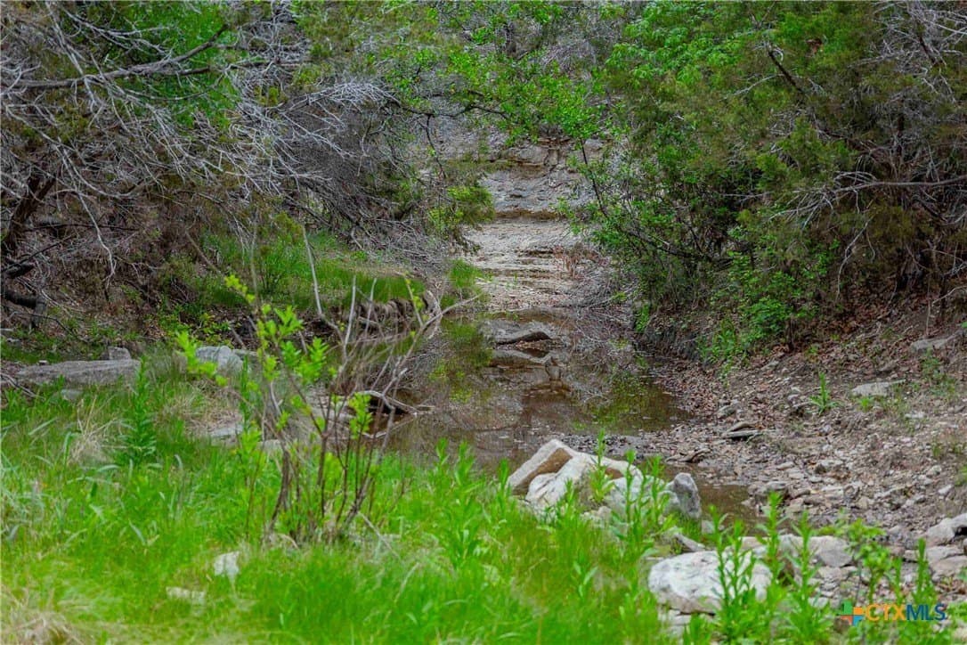 46.45 acres in Williamson County - photo 6