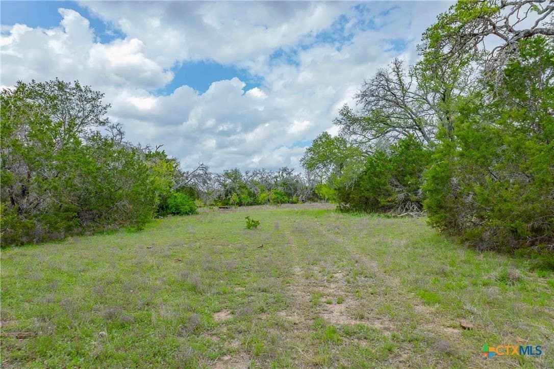 46.45 acres in Williamson County - photo 25