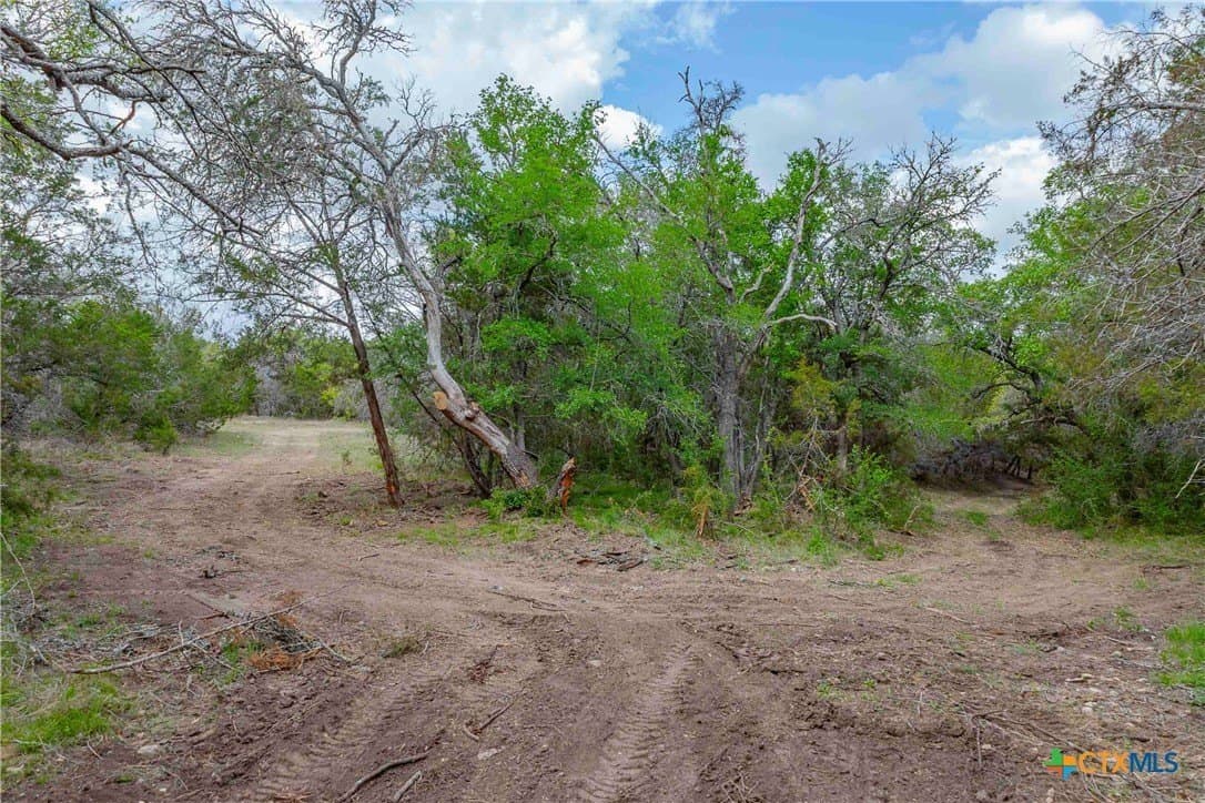 46.45 acres in Williamson County - photo 24