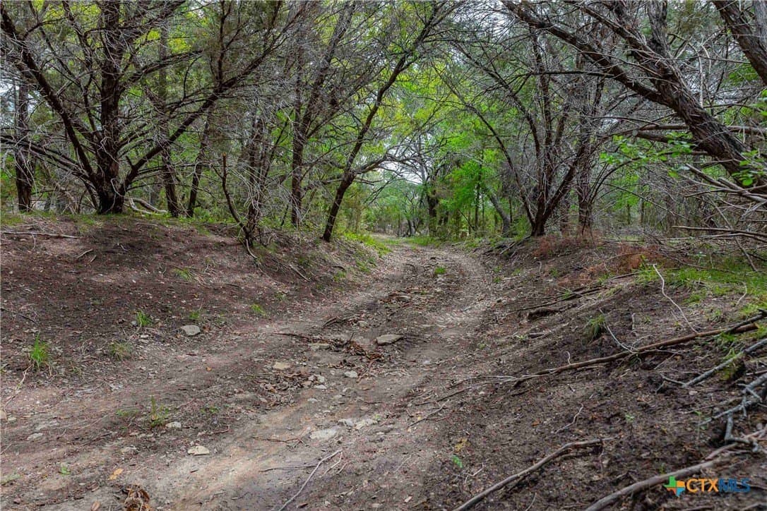 46.45 acres in Williamson County - photo 15