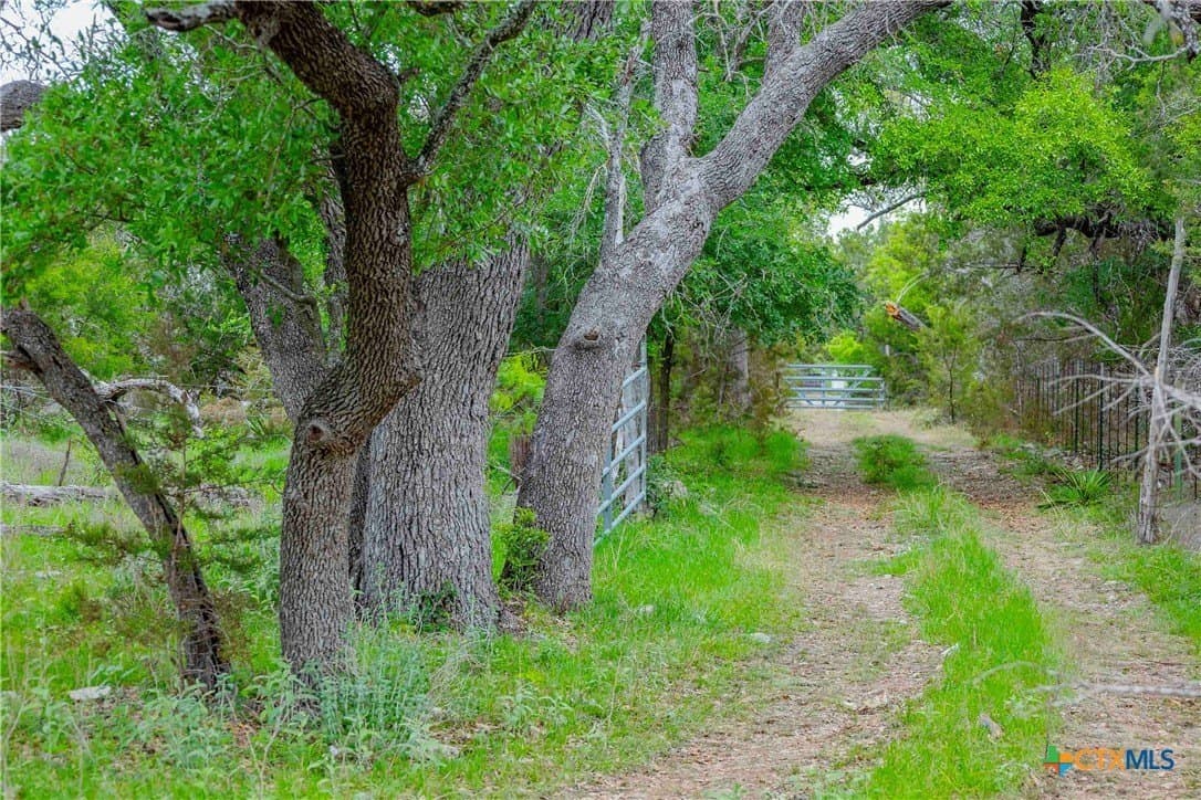 46.45 acres in Williamson County - photo 9