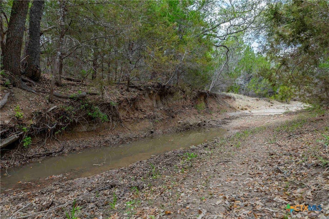 46.45 acres in Williamson County featured view