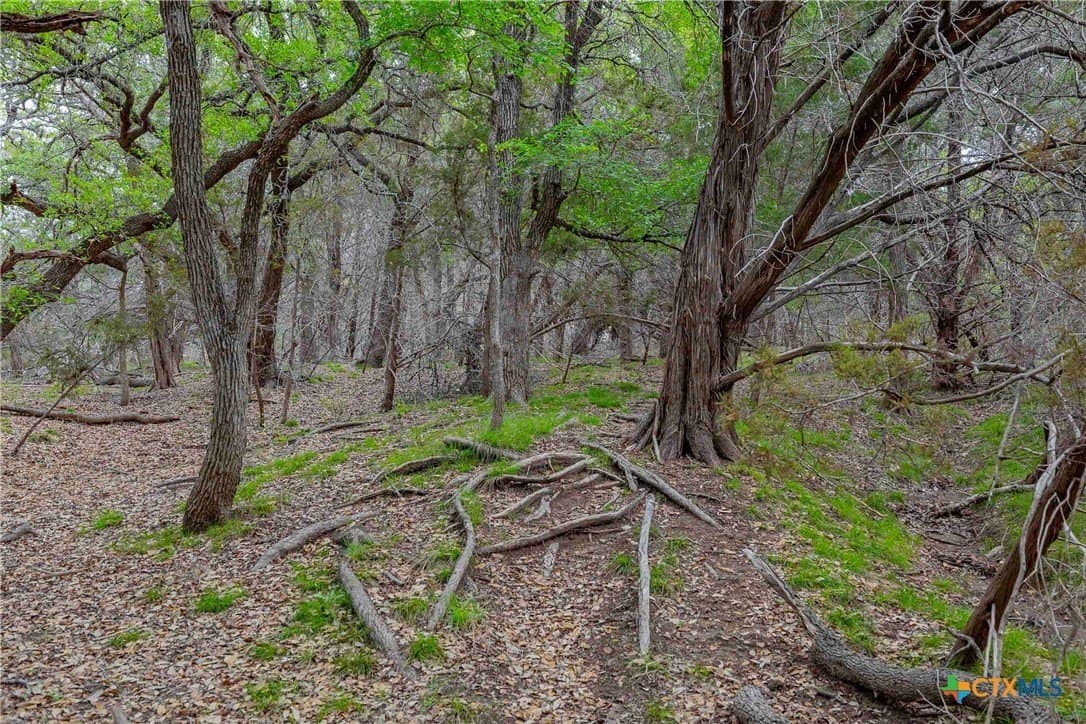 46.45 acres in Williamson County - photo 35