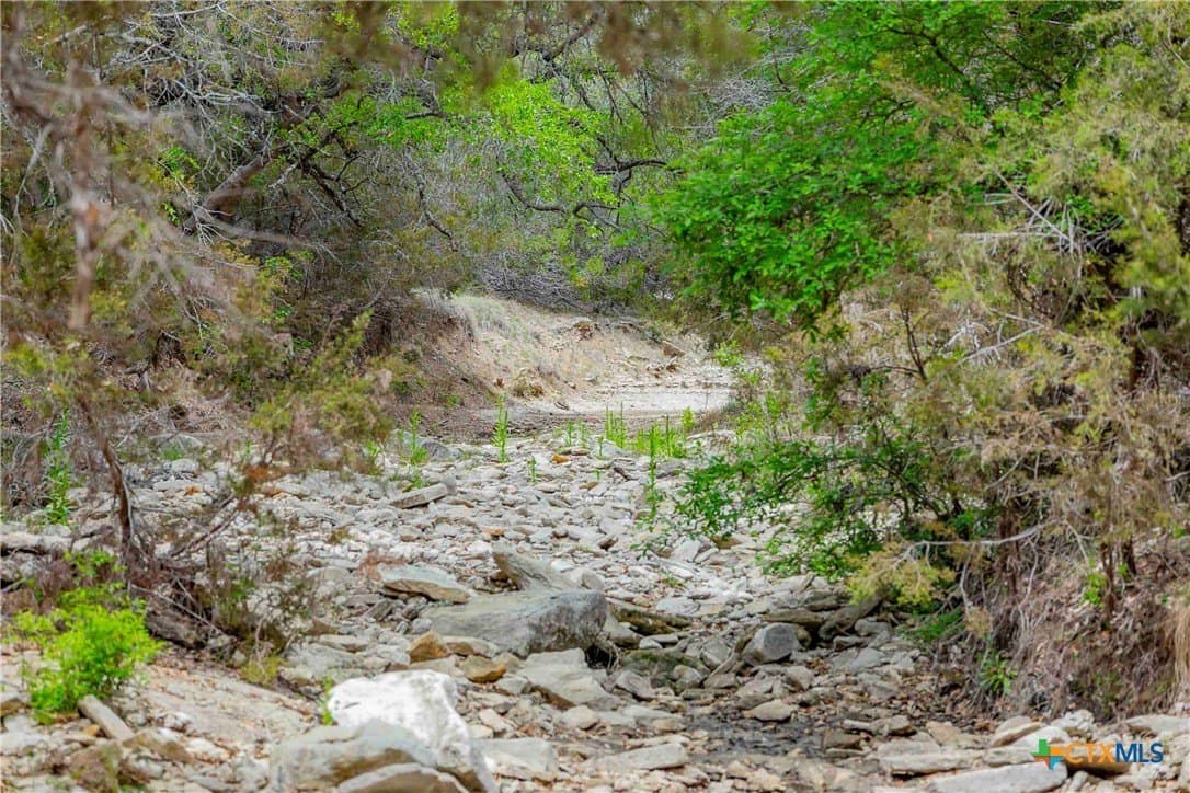 46.45 acres in Williamson County - photo 8