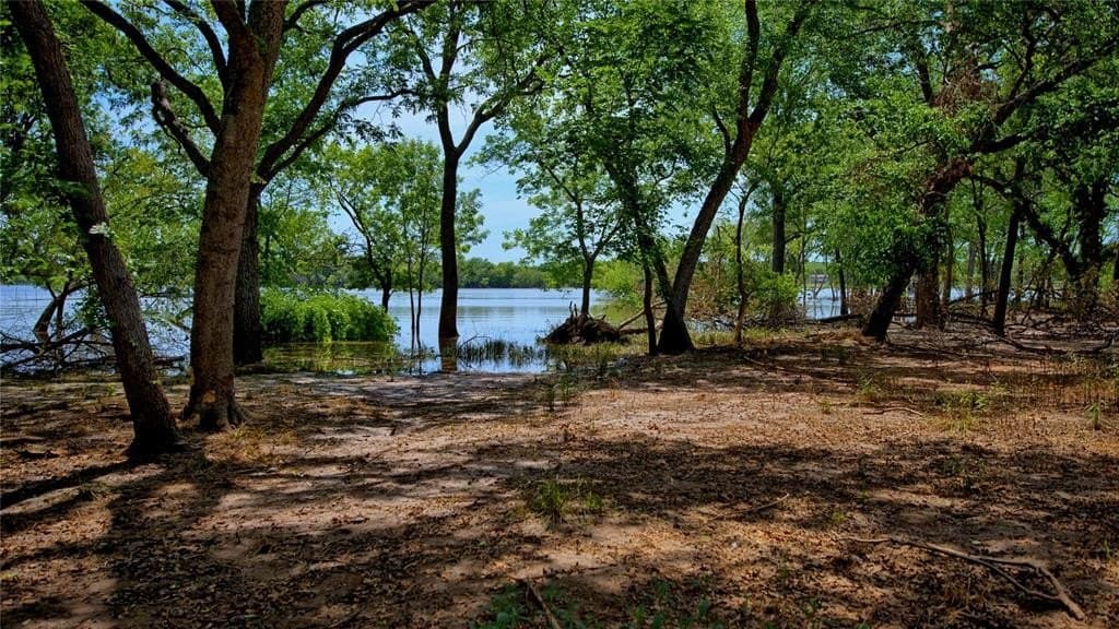 7.54 acres in Montague County featured view