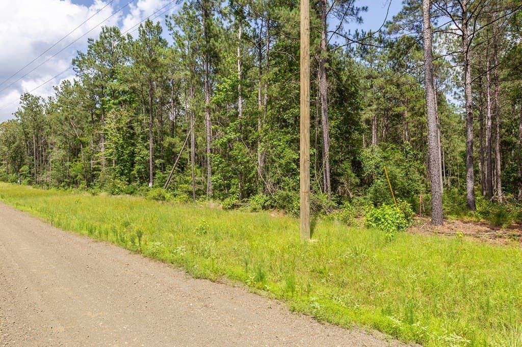 10.06 acres in Texas County gallery image 4