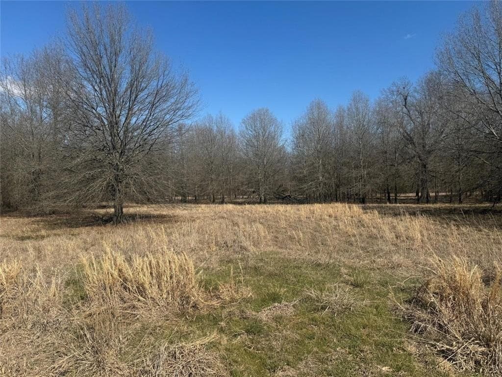 3.34 acres in Lamar County gallery image 3