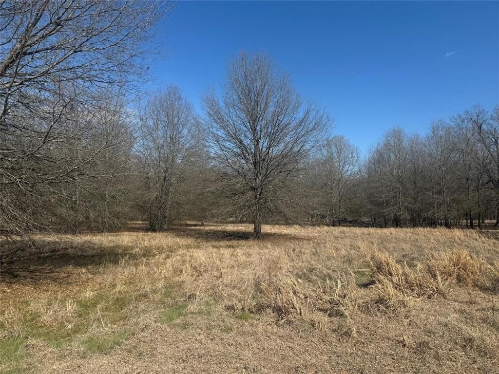 3.34 acres in Lamar County gallery image 4