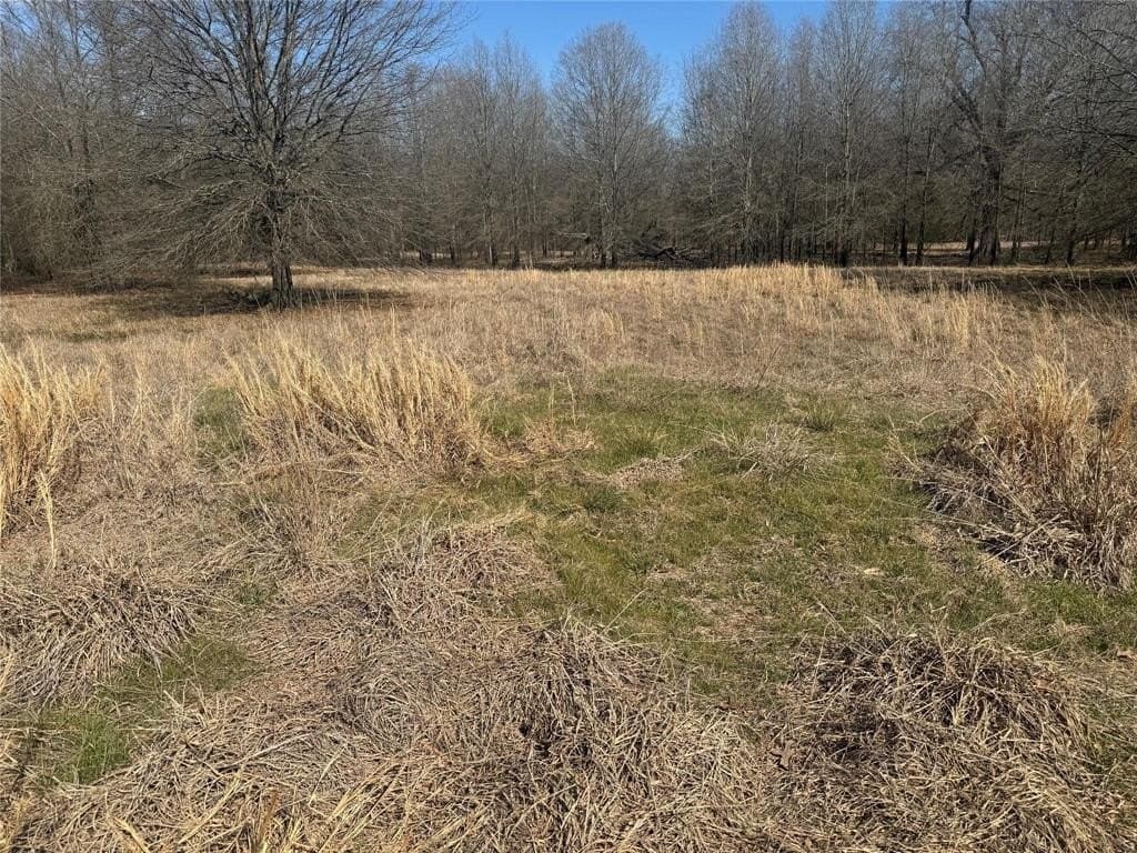3.34 acres in Lamar County gallery image 2
